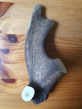 Geweihteile Geweihrollen Abwurfstangen Hirschhorn  Knochen Griffschalen Basteln