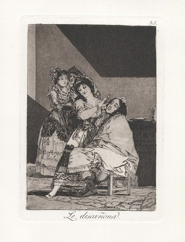 Francisco goya plate 35 - francisco, de