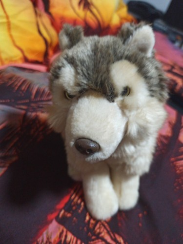 Wwf wolf sitzend - sitzend, 24
