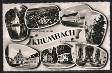 AK Krumbach /Schwaben