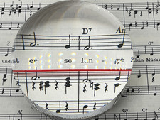 Schweizer Visolett Lupe