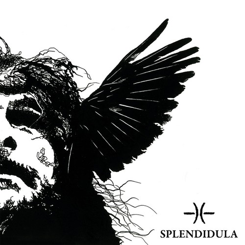Splendidula somnus - somnus, (vinyl)
