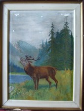 Hirsch Wald Gebirge Tier Natur