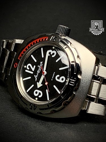 Vostok amphibia 090913 - amphibia,