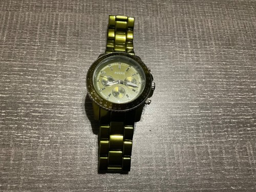 Very rare fossil 2711 - very,