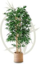 Maia Shop Künstlicher Bambus