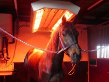 Pferdesolarium mit Lift 8x Philips Infrarot-Sparlampen Normalstrom