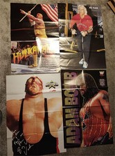 Wrestling poster bundle 1 - poster, #1