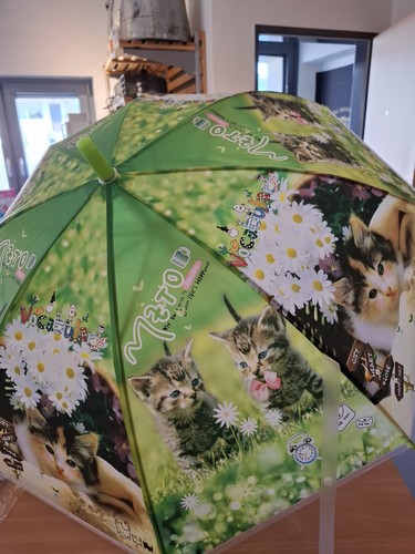 Kinder regenschirm mit - kinder,