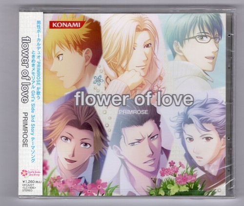 Primrose flower love - primrose---flower,