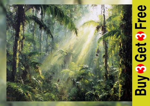 Sonnenbeschienener regenwald - sonnenbeschienener,
