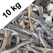 Rehgeweihe 5-26 cm – Rehbock