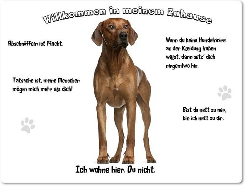Warnschild 20x30cm - warnschild,