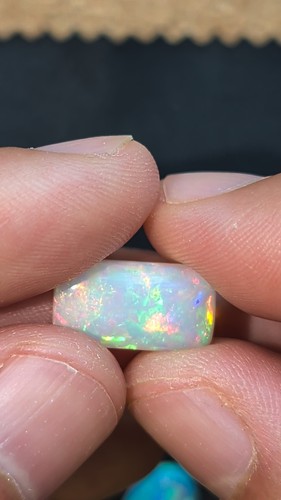 Echter natur edel welo opal - echter,