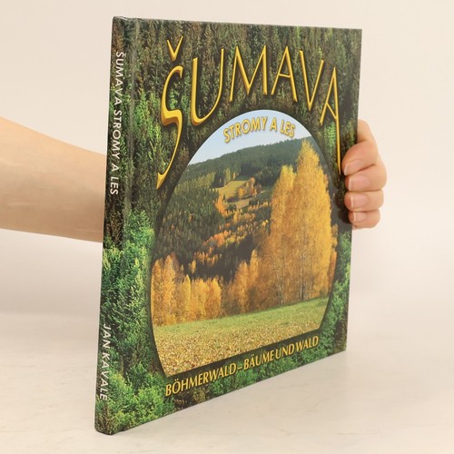 šumava stromy les - Šumava., a