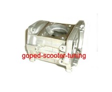 Blata Minibike Motard