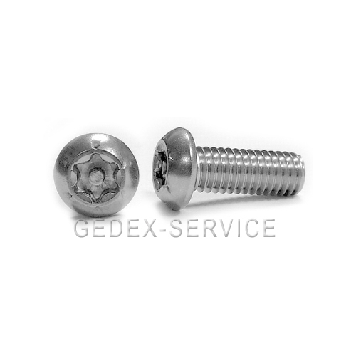 Sicherheitsschrauben torx pin - sicherheitsschrauben,