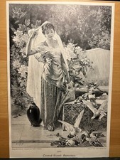 Antique Illustration Art Print