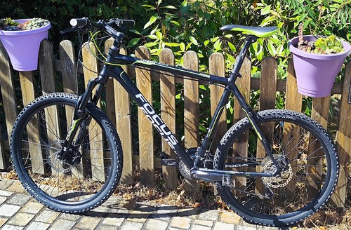 Herren mtb focus cypress - 26",