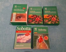 Lernkarten Heilpraktiker