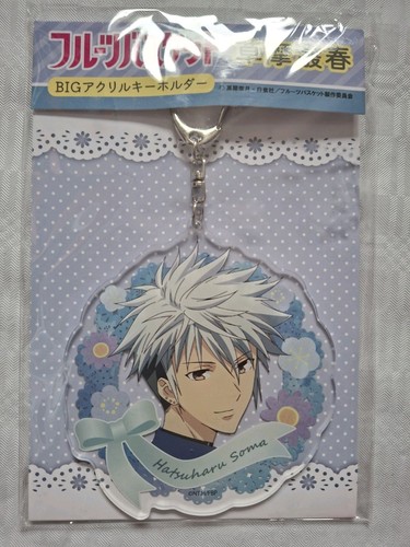 Fruits basket acryl - fruits,