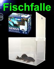 TOP Aquarium 🐠 FISCHFALLE