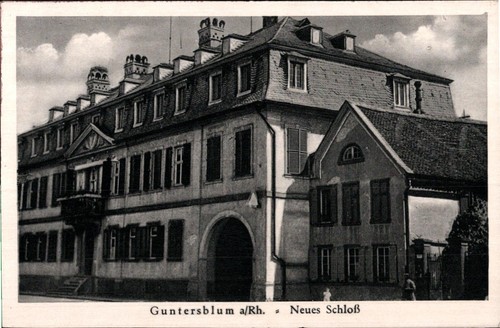 Guntersblum rhein neues - guntersblum, ,