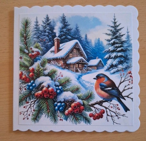 Weihnachtskarte vogel - *gb*,