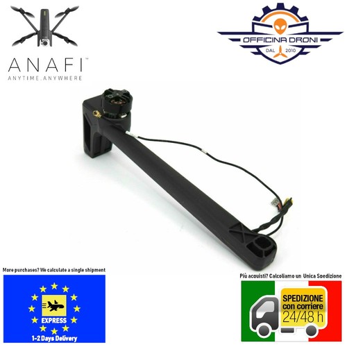 Parrot anafi hinterer - parrot,