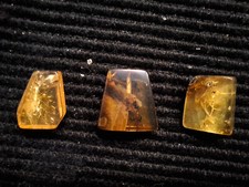3 kleine Baltische Bernsteine