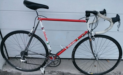 Bottecchia equipe campagnolo - equipe,