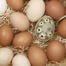 20 SERVIETTEN 33 X 33 / NATUR