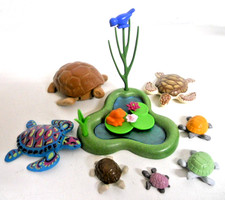 Schildkröten Vogel Frosch am