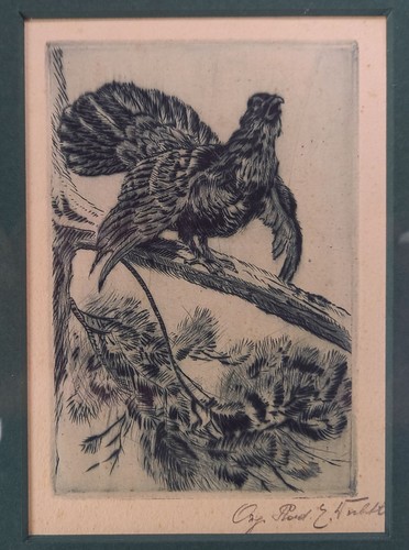 Erich dichtl kromau - 1890,