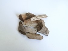 ECHTE Mammut Fossilien Knochen Versteinerung Mineralien Stücke Fossil