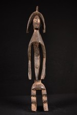 Afrikanische Grosse Mumuye