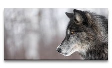 120x60cm Leinwandbild