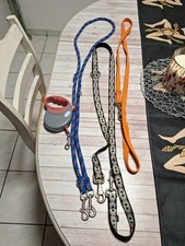 Hundeleine 4 Stück 3 Normal Ein Automatikleine