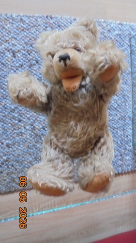 Steiff teddy aus den - aus,
