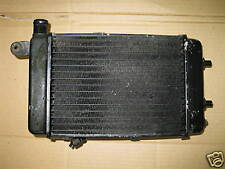 RSV R 1000 APRILIA 1999-03 WASSERKÜHLER KÜHLER RADIATOR