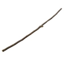 Sitzstange für Vögel