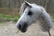 Hobbyhorse A3 ARIZONA