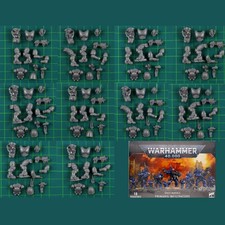 Space Marines Primaris