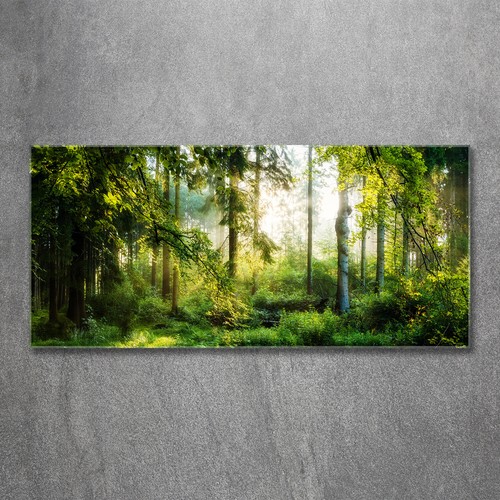 Acrylglas bild wandbilder - acrylglas-bild,