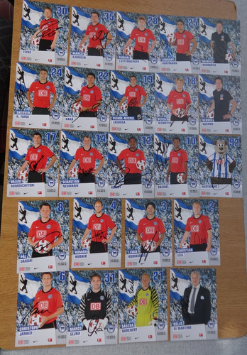Hertha bsc berlin - bsc, (2010/11)