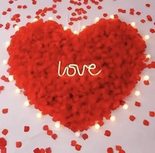  Rosenblätter Romantische