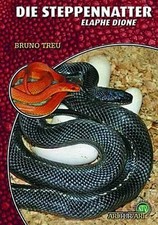 Die Steppennatter Bruno Treu