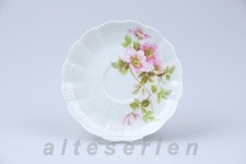 Untertasse Mokka Giraud Limoges Buschrose / Heckenrose