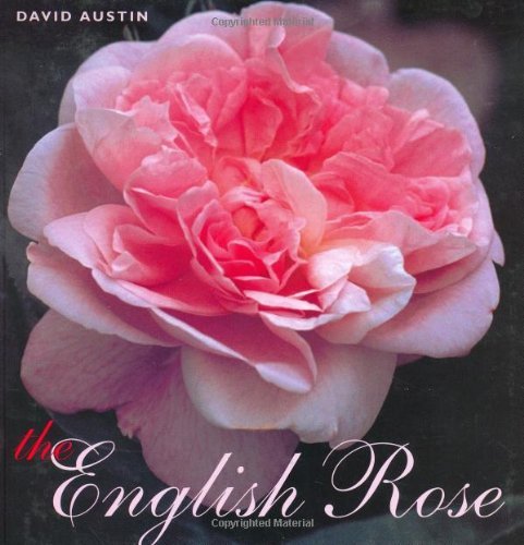 The english rose david - rose,david, austin