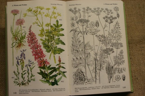 Fachbuch pflanzenbestimmung - fachbuch,